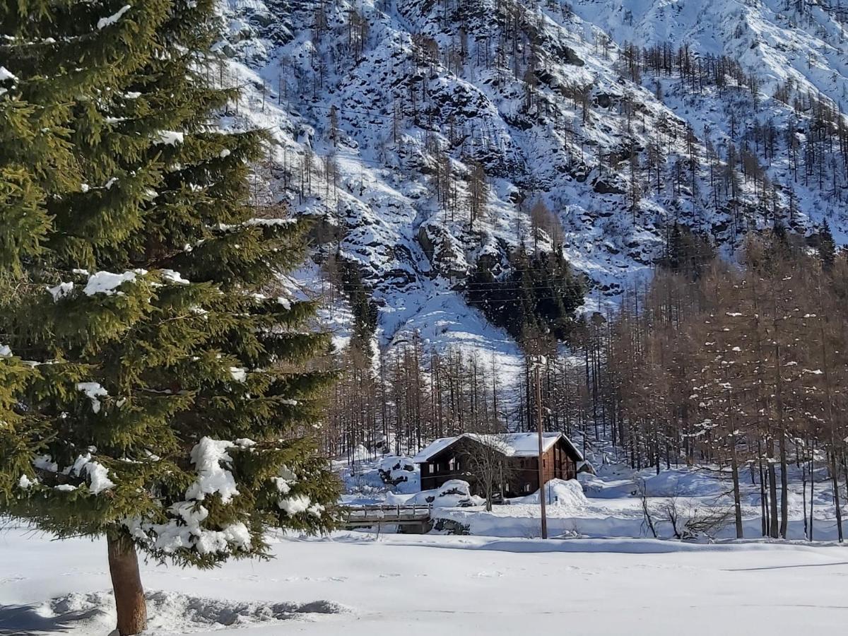 Chalet Rosa dei Monti Piamprato Extérieur photo