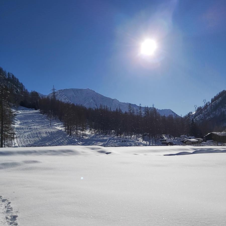 Chalet Rosa dei Monti Piamprato Extérieur photo