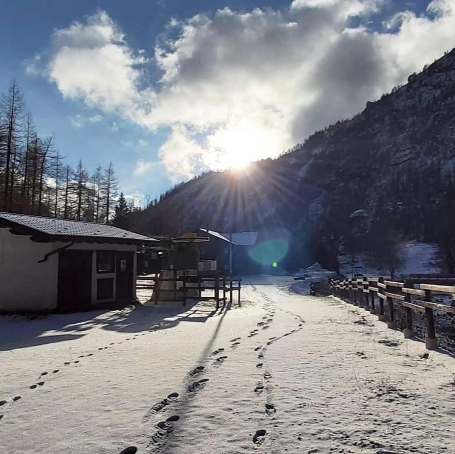 Chalet Rosa dei Monti Piamprato Extérieur photo
