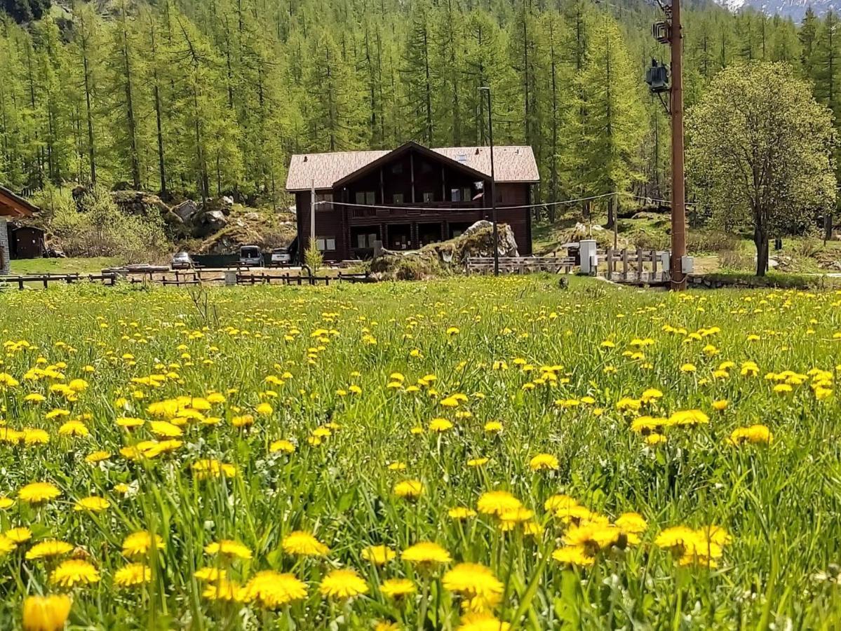 Chalet Rosa dei Monti Piamprato Extérieur photo