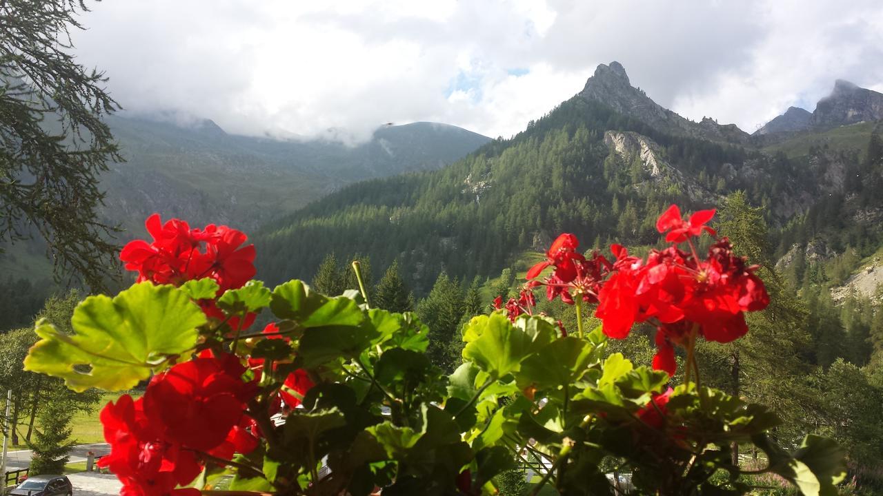 Chalet Rosa dei Monti Piamprato Extérieur photo